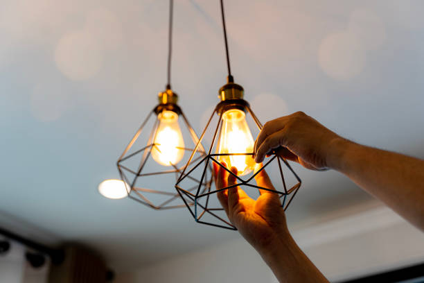 Best Local Electrician Companies  in Evadale, TX